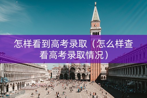 怎样看到高考录取（怎么样查看高考录取情况）