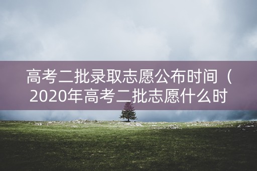高考二批录取志愿公布时间（2020年高考二批志愿什么时候填报）