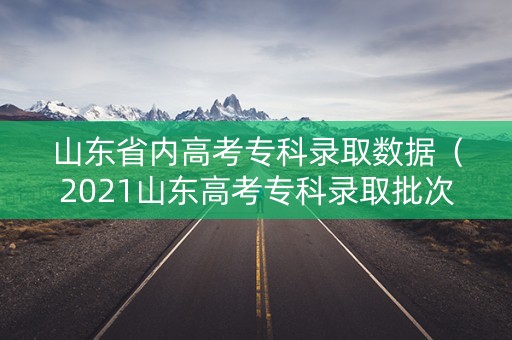 山东省内高考专科录取数据（2021山东高考专科录取批次）