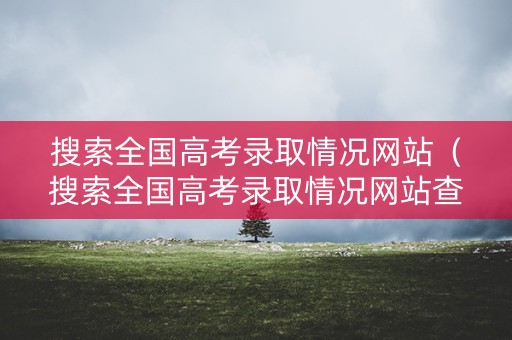 搜索全国高考录取情况网站（搜索全国高考录取情况网站查询）