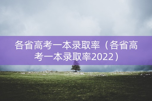 各省高考一本录取率（各省高考一本录取率2022）