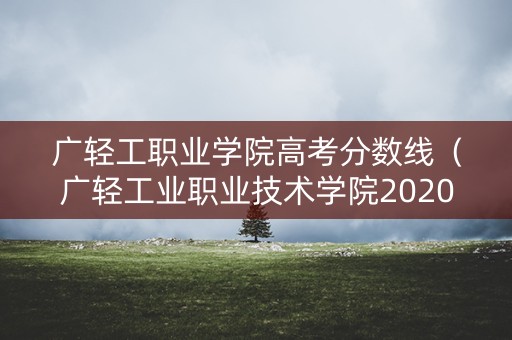 广轻工职业学院高考分数线（广轻工业职业技术学院2020录取）