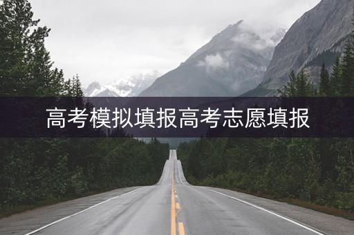 高考模拟填报高考志愿填报