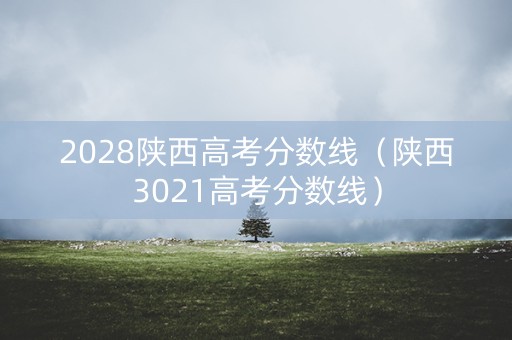 2028陕西高考分数线（陕西3021高考分数线）