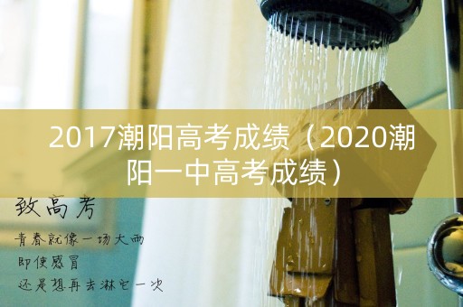 2017潮阳高考成绩（2020潮阳一中高考成绩）