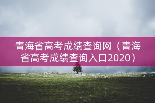 青海省高考成绩查询网（青海省高考成绩查询入口2020）