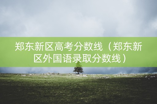 郑东新区高考分数线（郑东新区外国语录取分数线）