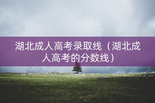 湖北成人高考录取线（湖北成人高考的分数线）