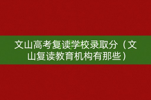 文山高考复读学校录取分（文山复读教育机构有那些）
