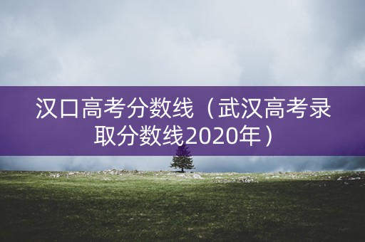汉口高考分数线（武汉高考录取分数线2020年）