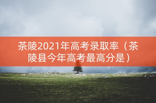茶陵2021年高考录取率（茶陵县今年高考最高分是）