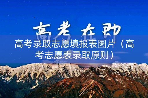 高考录取志愿填报表图片（高考志愿表录取原则）