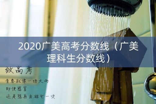 2020广美高考分数线（广美理科生分数线）