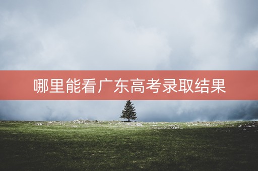 哪里能看广东高考录取结果