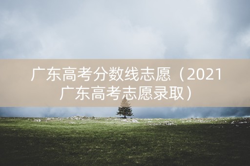 广东高考分数线志愿（2021广东高考志愿录取）