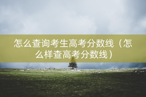 怎么查询考生高考分数线（怎么样查高考分数线）