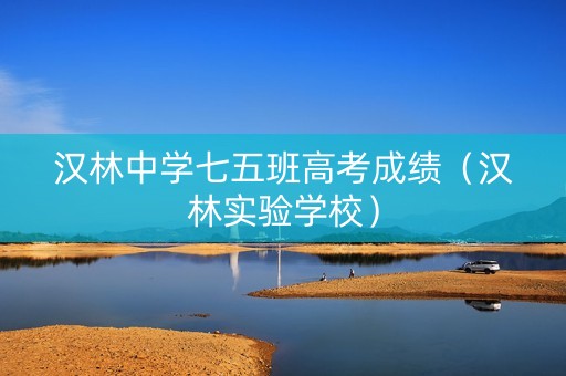 汉林中学七五班高考成绩（汉林实验学校）