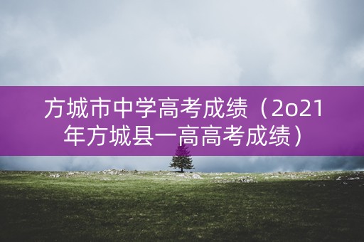 方城市中学高考成绩（2o21年方城县一高高考成绩）