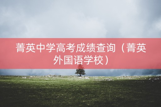 菁英中学高考成绩查询（菁英外国语学校）