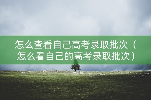 怎么查看自己高考录取批次（怎么看自己的高考录取批次）