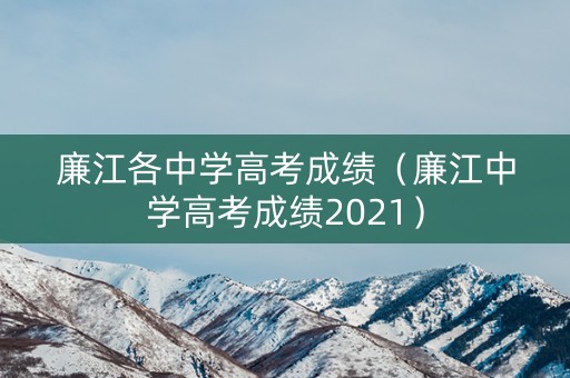 廉江各中学高考成绩（廉江中学高考成绩2021）