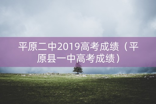 平原二中2019高考成绩（平原县一中高考成绩）