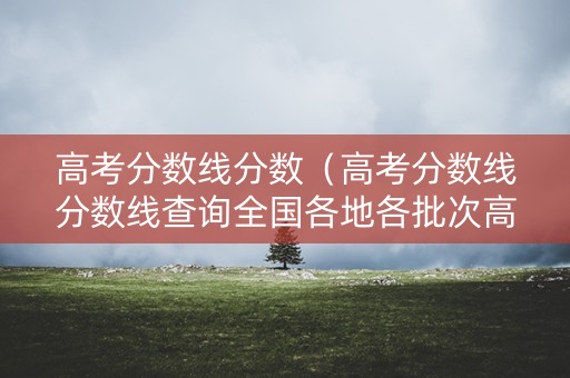 高考分数线分数（高考分数线分数线查询全国各地各批次高考分数线查询）
