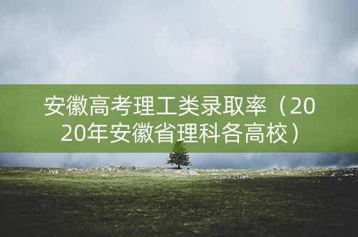 安徽高考理工类录取率（2020年安徽省理科各高校）