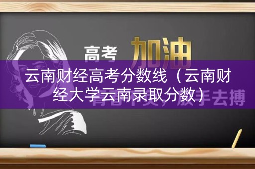 云南财经高考分数线（云南财经大学云南录取分数）