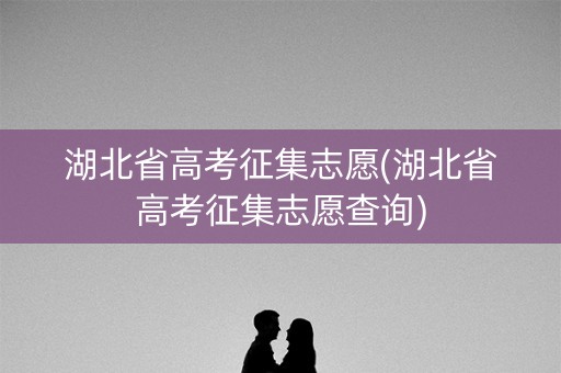 湖北省高考征集志愿(湖北省高考征集志愿查询)