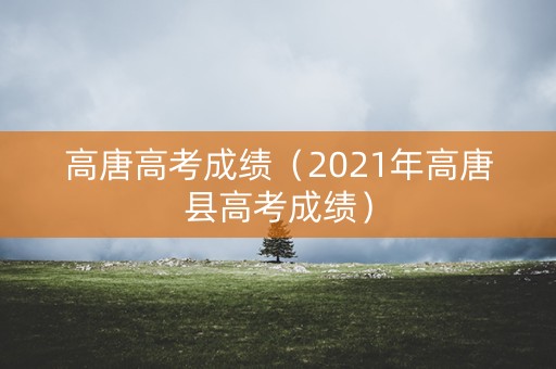 高唐高考成绩（2021年高唐县高考成绩）