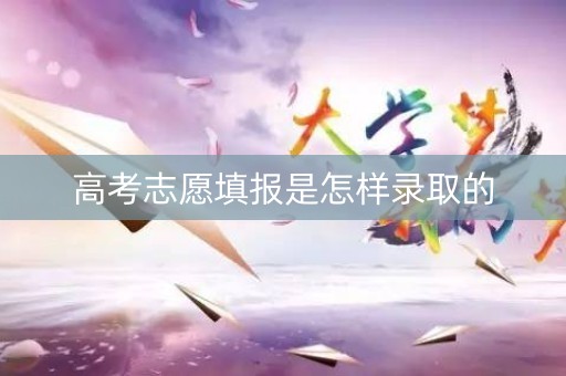 高考志愿填报是怎样录取的