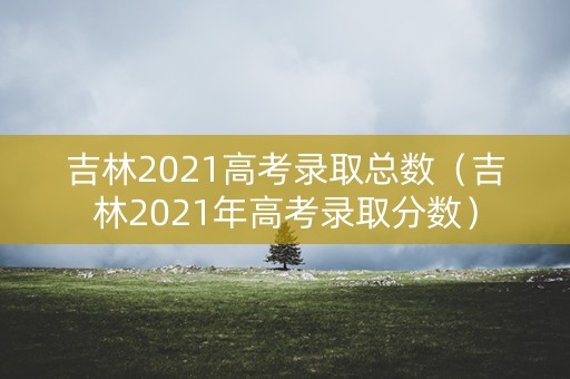 吉林2021高考录取总数（吉林2021年高考录取分数）