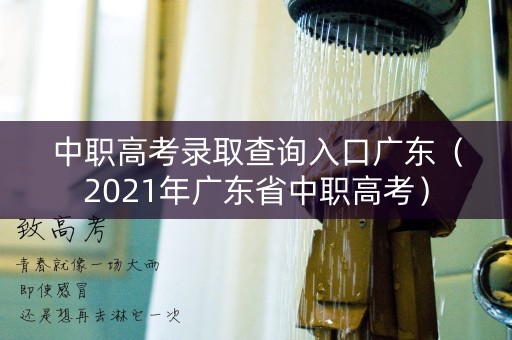 中职高考录取查询入口广东（2021年广东省中职高考）