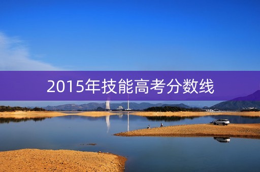 2015年技能高考分数线