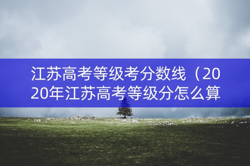 江苏高考等级考分数线（2020年江苏高考等级分怎么算）
