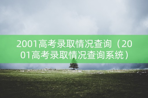 2001高考录取情况查询（2001高考录取情况查询系统）