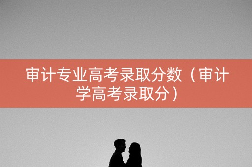 审计专业高考录取分数（审计学高考录取分）