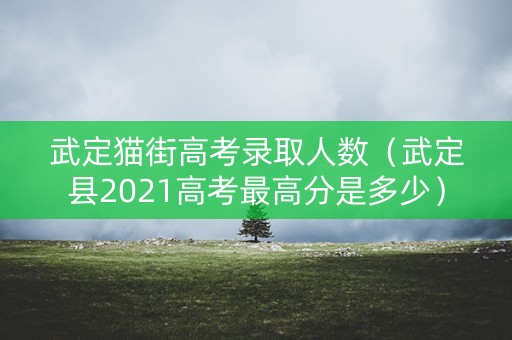 武定猫街高考录取人数（武定县2021高考最高分是多少）