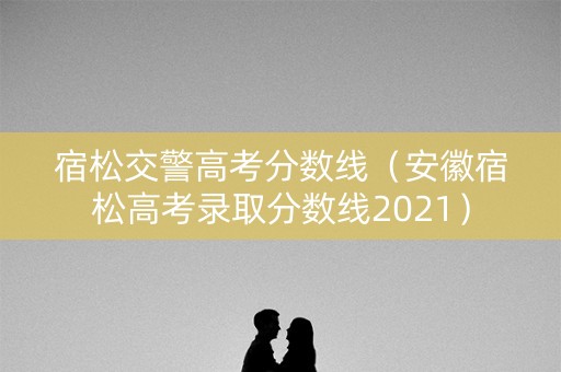 宿松交警高考分数线（安徽宿松高考录取分数线2021）