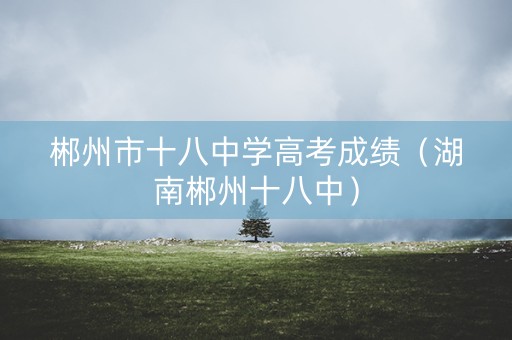 郴州市十八中学高考成绩（湖南郴州十八中）