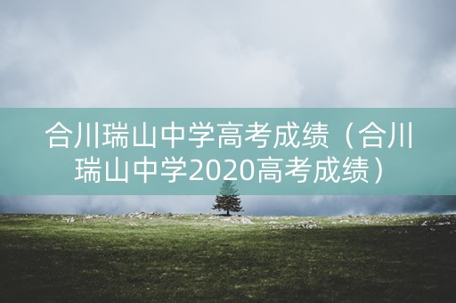 合川瑞山中学高考成绩（合川瑞山中学2020高考成绩）
