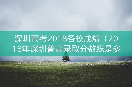 深圳高考2018各校成绩（2018年深圳普高录取分数线是多少）