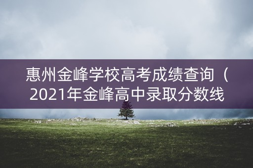 惠州金峰学校高考成绩查询（2021年金峰高中录取分数线）