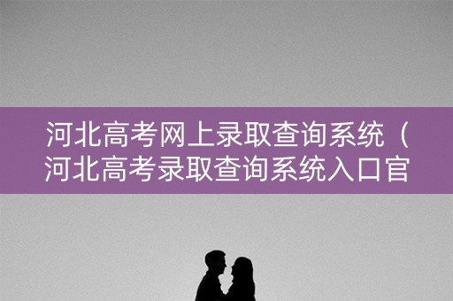 河北高考网上录取查询系统（河北高考录取查询系统入口官网）
