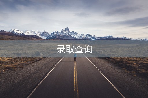 录取查询