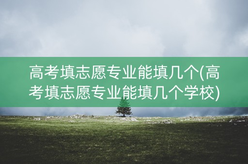 高考填志愿专业能填几个(高考填志愿专业能填几个学校)