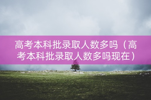 高考本科批录取人数多吗（高考本科批录取人数多吗现在）