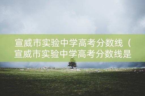 宣威市实验中学高考分数线（宣威市实验中学高考分数线是多少）