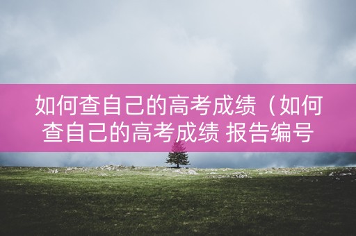 如何查自己的高考成绩（如何查自己的高考成绩 报告编号）
